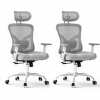 Marsail Ergonomic Office Chair with Lumbar Support and 2D Headrest