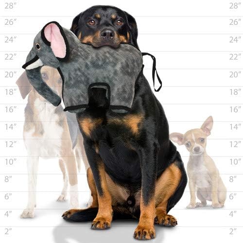 TUFFY® 2 Pack Elephant Ultra Durable Plush Dog Toys