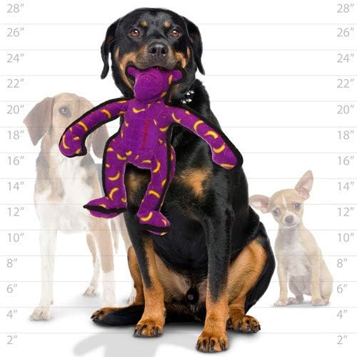 TUFFY® 2 Pack Monkey Ultra Durable Plush Dog Toys