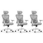 Marsail Ergonomic Office Chair with Lumbar Support and 2D Headrest