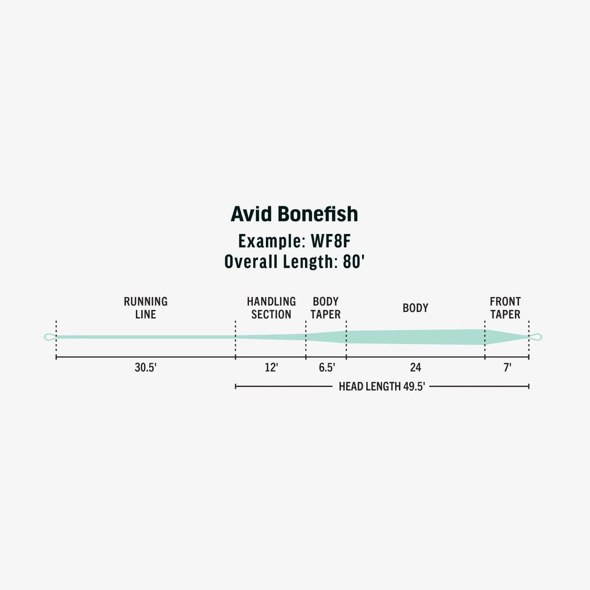 RIO Products Avid Saltwater Fly Line, SlickCast Easy Casting, Tropical Series, Bonefish & Tarpon