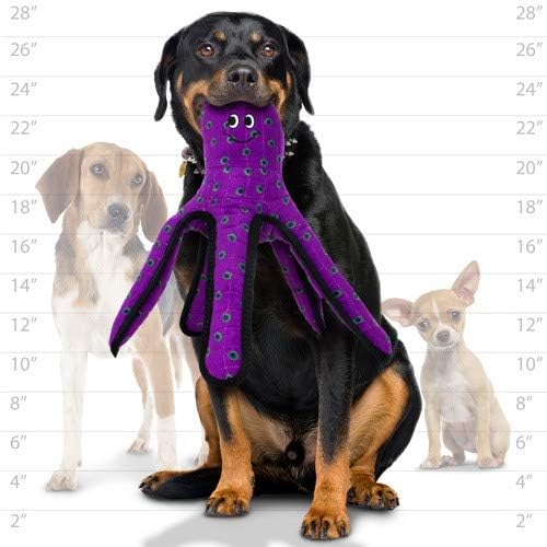 TUFFY® 2 Pack Octopus Ultra Durable Plush Dog Toy