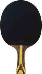 DHS 9 Star Table Tennis Racket H9002 - Shakehand for Professional Player