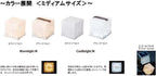 Carry The Sun Solar Lantern