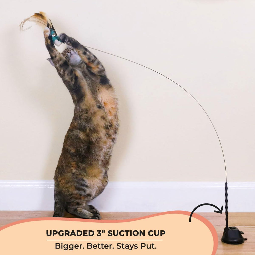 Whiskertons Interactive Bird Simulation Cat Toy Set, Interactive Cat Toys for Indoor Cats, Cat Feather Toy, Self-Holding Suction Cup, 5 Catnip Birds, Feathers, Bells (Catnip Hybrid Bundle)