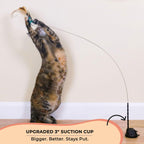 Whiskertons Interactive Bird Simulation Cat Toy Set, Interactive Cat Toys for Indoor Cats, Cat Feather Toy, Self-Holding Suction Cup, 5 Catnip Birds, Feathers, Bells (Catnip Hybrid Bundle)