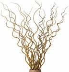 CZ Grain Natural Curly Willow Branches for Decor, 16-24 Inches Long - Wedding Centerpieces, Christmas Decorations, Floral Arrangements, Wreathmaking & Craft Projects (50 Curly Branches)