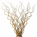 CZ Grain Natural Curly Willow Branches for Decor, 16-24 Inches Long - Wedding Centerpieces, Christmas Decorations, Floral Arrangements, Wreathmaking & Craft Projects (50 Curly Branches)