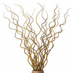 CZ Grain Natural Curly Willow Branches for Decor, 16-24 Inches Long - Wedding Centerpieces, Christmas Decorations, Floral Arrangements, Wreathmaking & Craft Projects (50 Curly Branches)