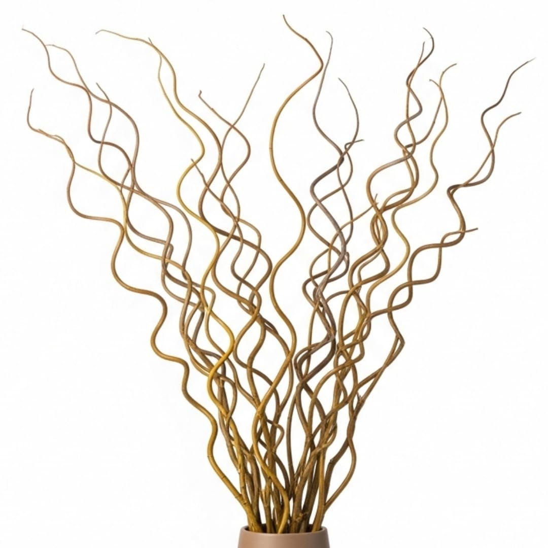 CZ Grain Natural Curly Willow Branches for Decor, 16-24 Inches Long - Wedding Centerpieces, Christmas Decorations, Floral Arrangements, Wreathmaking & Craft Projects (50 Curly Branches)
