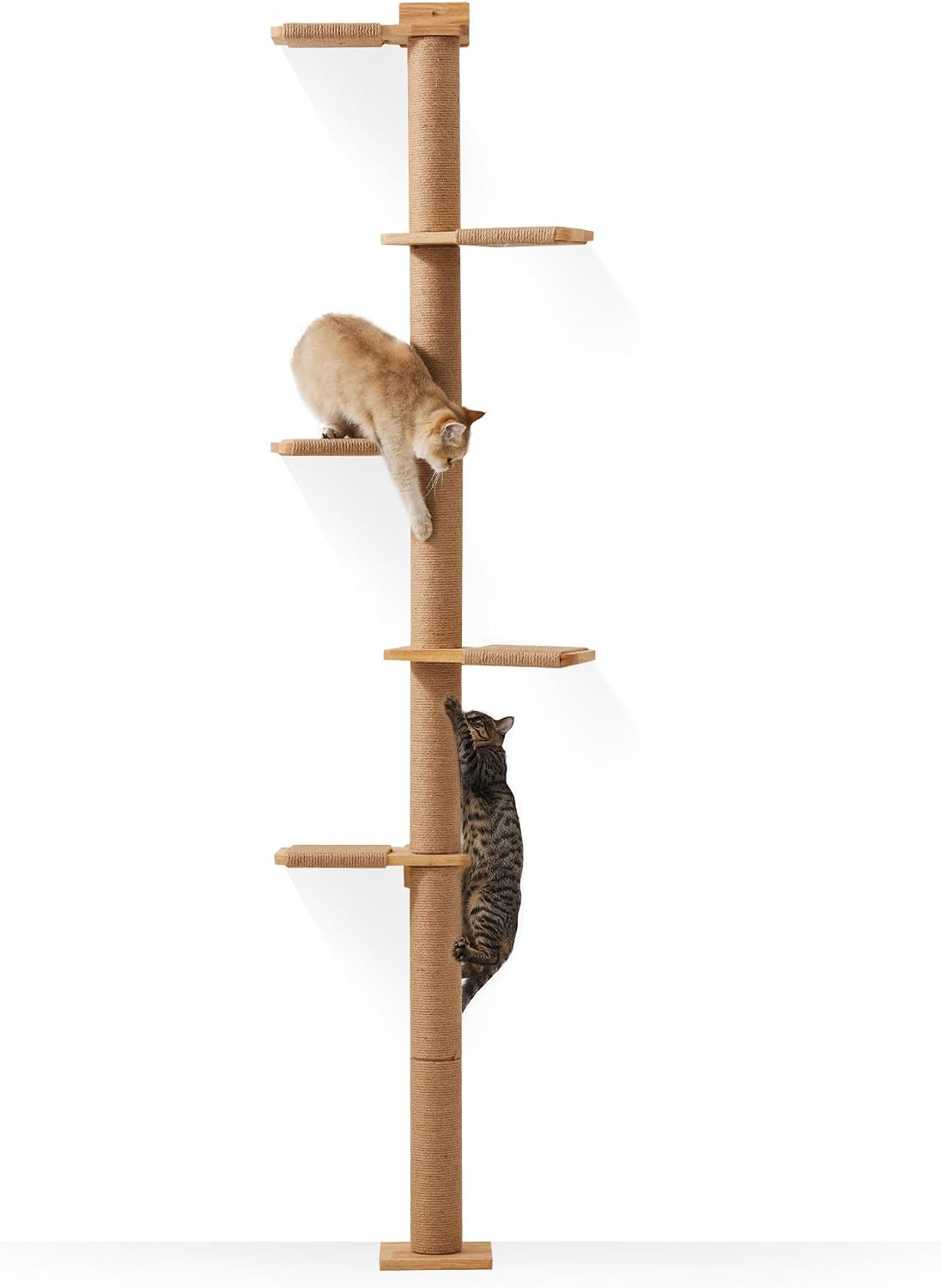 FUKUMARU Wall-Mounted Cat Tree for Small & Medium Cats