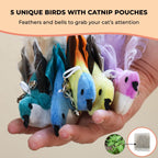 Whiskertons Interactive Bird Simulation Cat Toy Set, Interactive Cat Toys for Indoor Cats, Cat Feather Toy, Self-Holding Suction Cup, 5 Catnip Birds, Feathers, Bells (Catnip Hybrid Bundle)