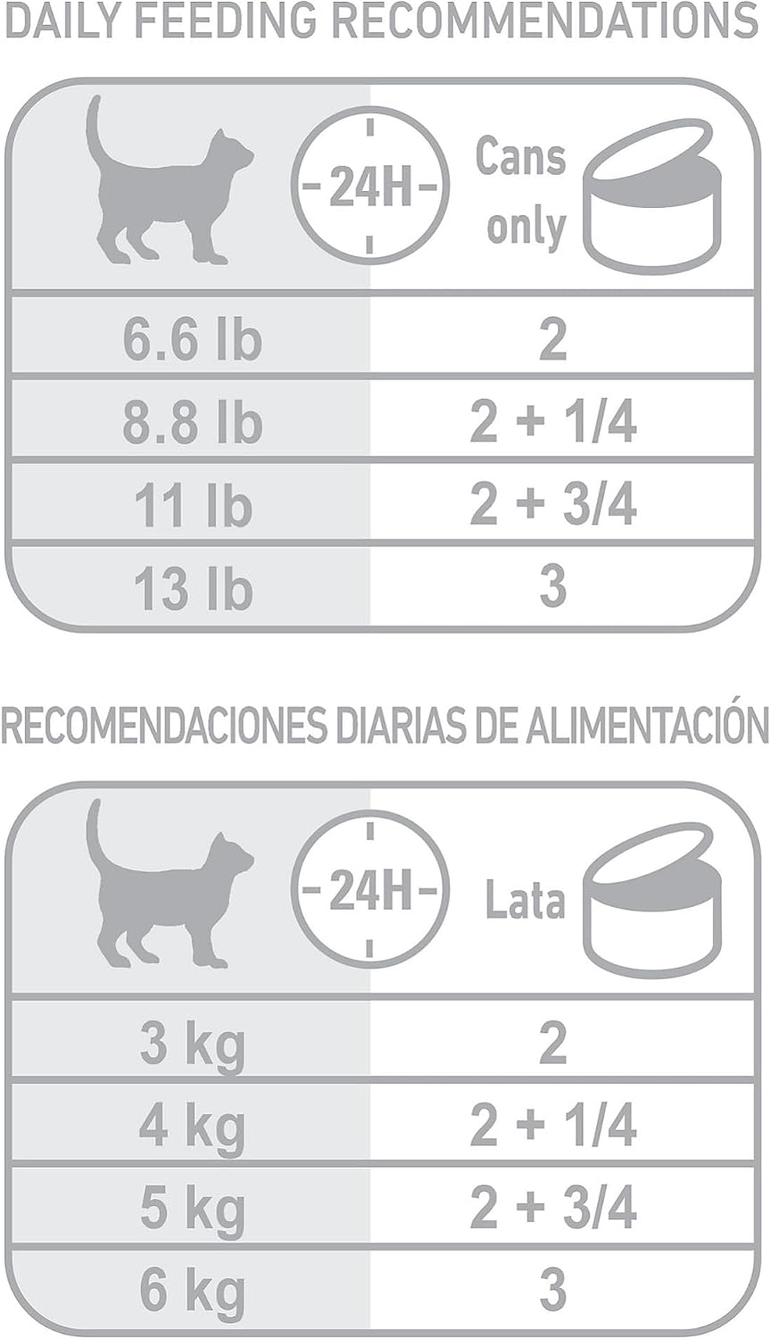 Royal Canin Feline Health Nutrition Indoor Adult Morsels in Gravy Cat Food, 3 oz (Pack of 24)