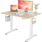 YDN 32 x 19 Inch White Electric Standing Desk