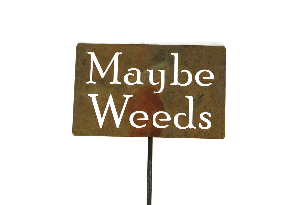 Funny Garden Stake 20 to 33 Inches Tall (Hosta La Vista, XL 33" Tall)