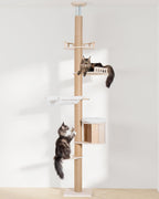 Aechonow 10.2ft Floor to Ceiling Cat Tree for Large Cats, Tall Cat Tower