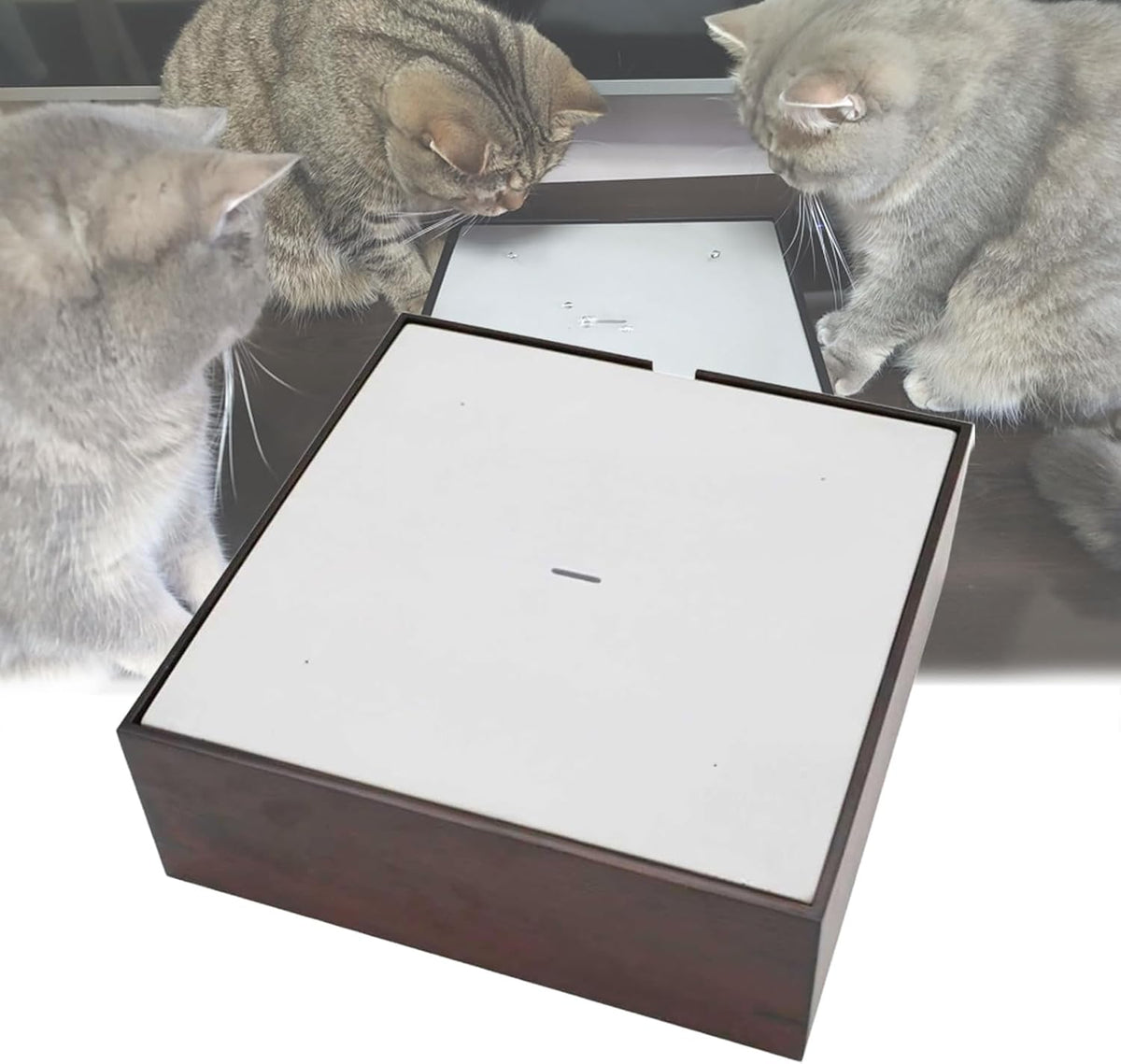Automatic Water Drop Cat Teaser, Electric Water Drop Cat Toy with 600ml Water Storage Box, Built-in Removable Washable Filter, Adjustable Flow Rate, for Home Relaxation (Brown)