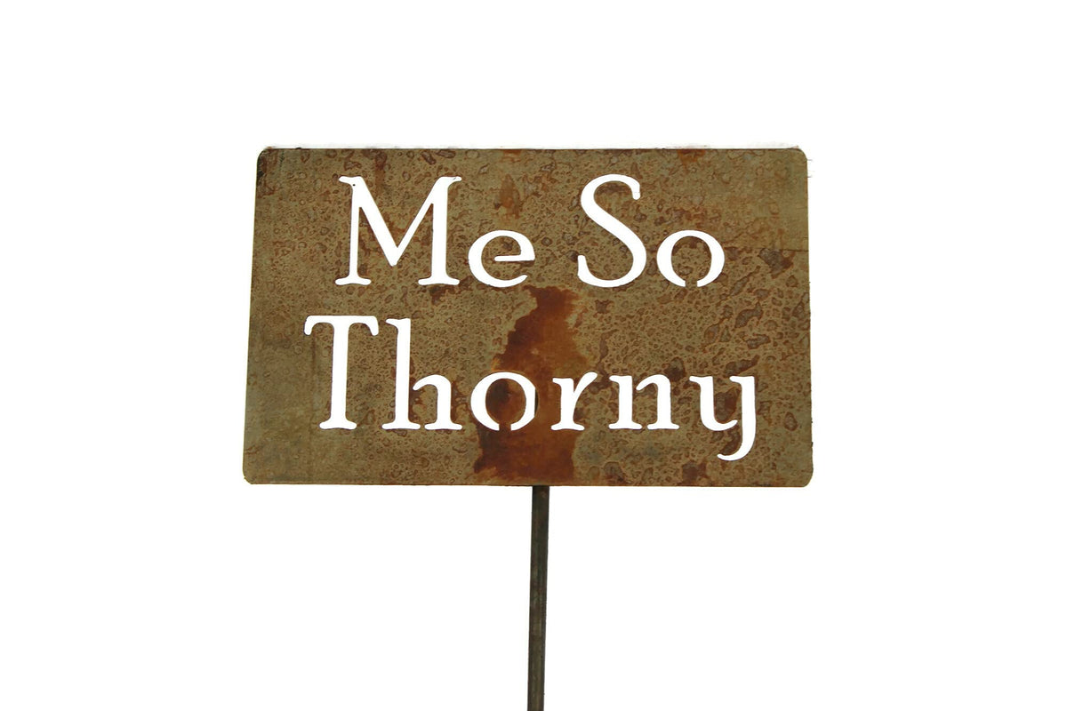 Funny Garden Stake 20 to 33 Inches Tall (Now Grow You sons of Bitches, Large 28" Tall)