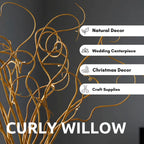 CZ Grain Natural Curly Willow Branches for Decor, 16-24 Inches Long - Wedding Centerpieces, Christmas Decorations, Floral Arrangements, Wreathmaking & Craft Projects (50 Curly Branches)