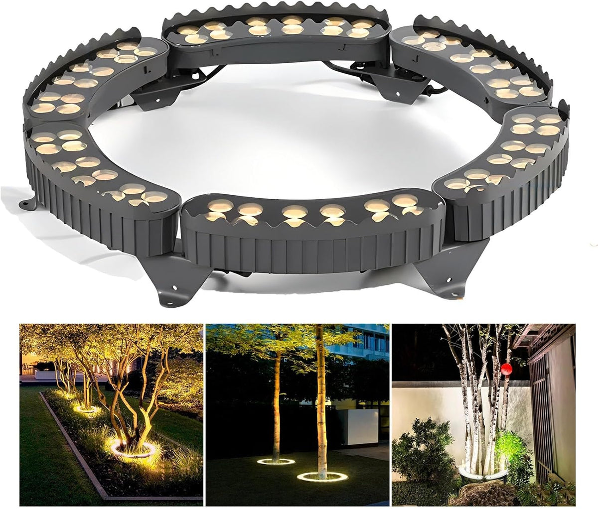 Outdoor Garden Lights, LED Low Voltage Landscape Tree Ring Lights, Palm Tree Lights, IP65 Weatherproof(Warm White Light,Pack of 6)