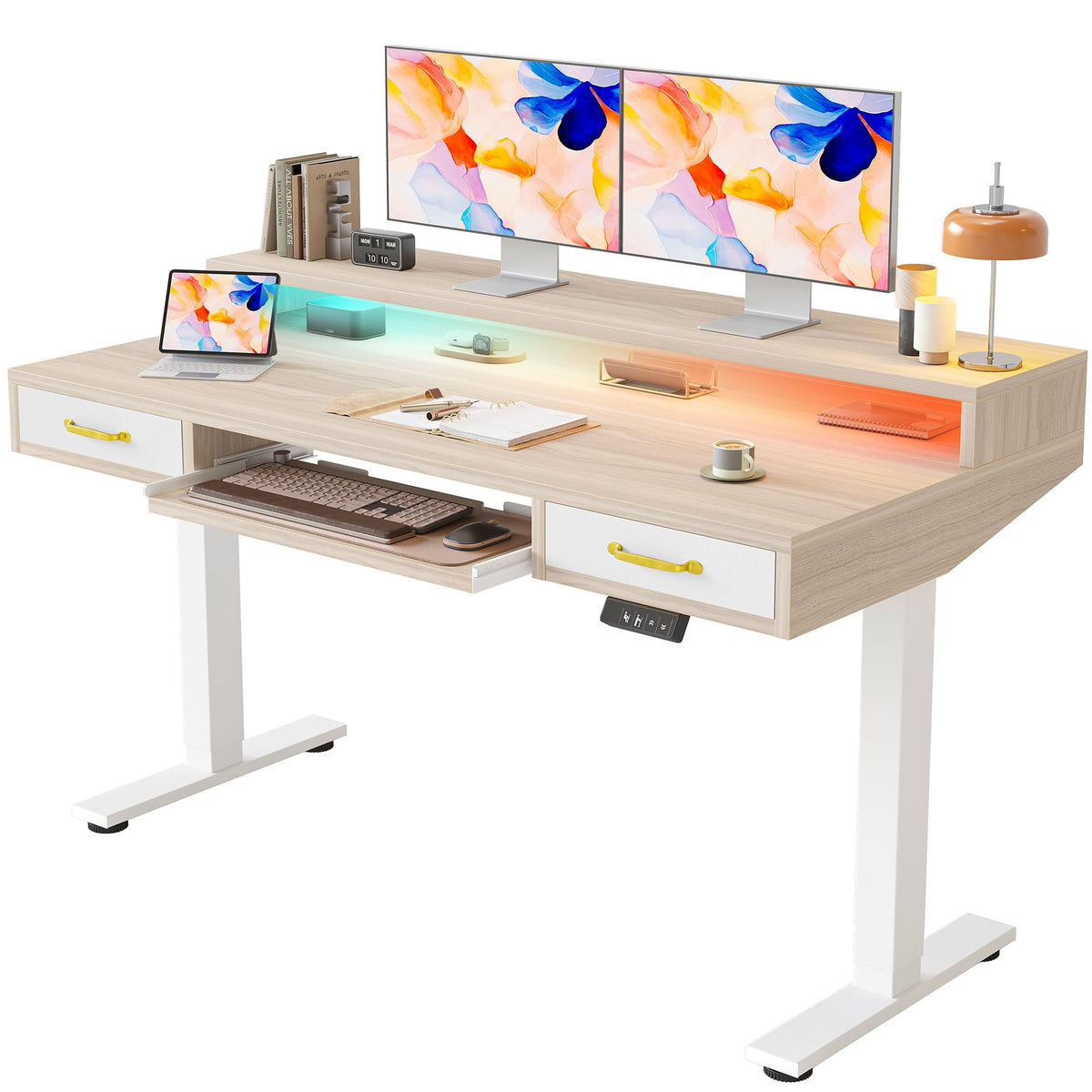 TIQLAB Standing Desk with Two Drawers, Stand Up Standing Desk Adjustable Height, Electric Sit Stand Table with Storage Shelf and Splice Board, with LED Light, 55 * 28 inch, Maple