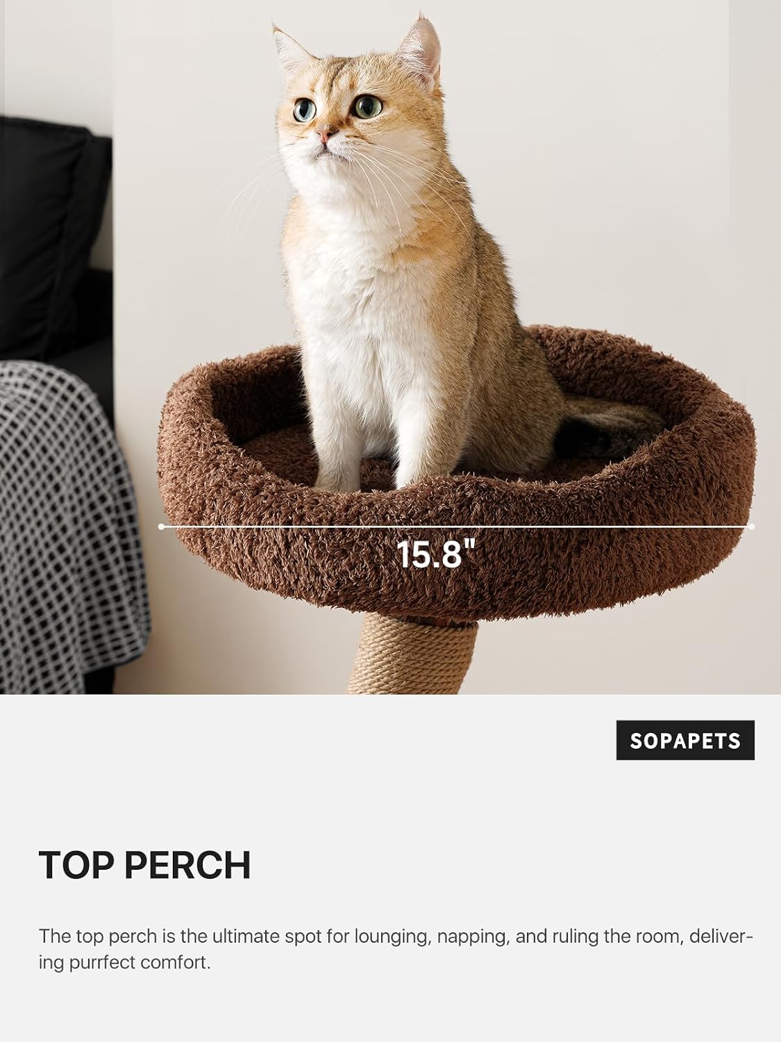Sopapets 40" Small Cat Tree for Apartments, Modern Cat Tower for Indoor Cats with Solid Wood Branch, Sisal Scratching Posts, Plush Perches and Hideaway Condo, Brown