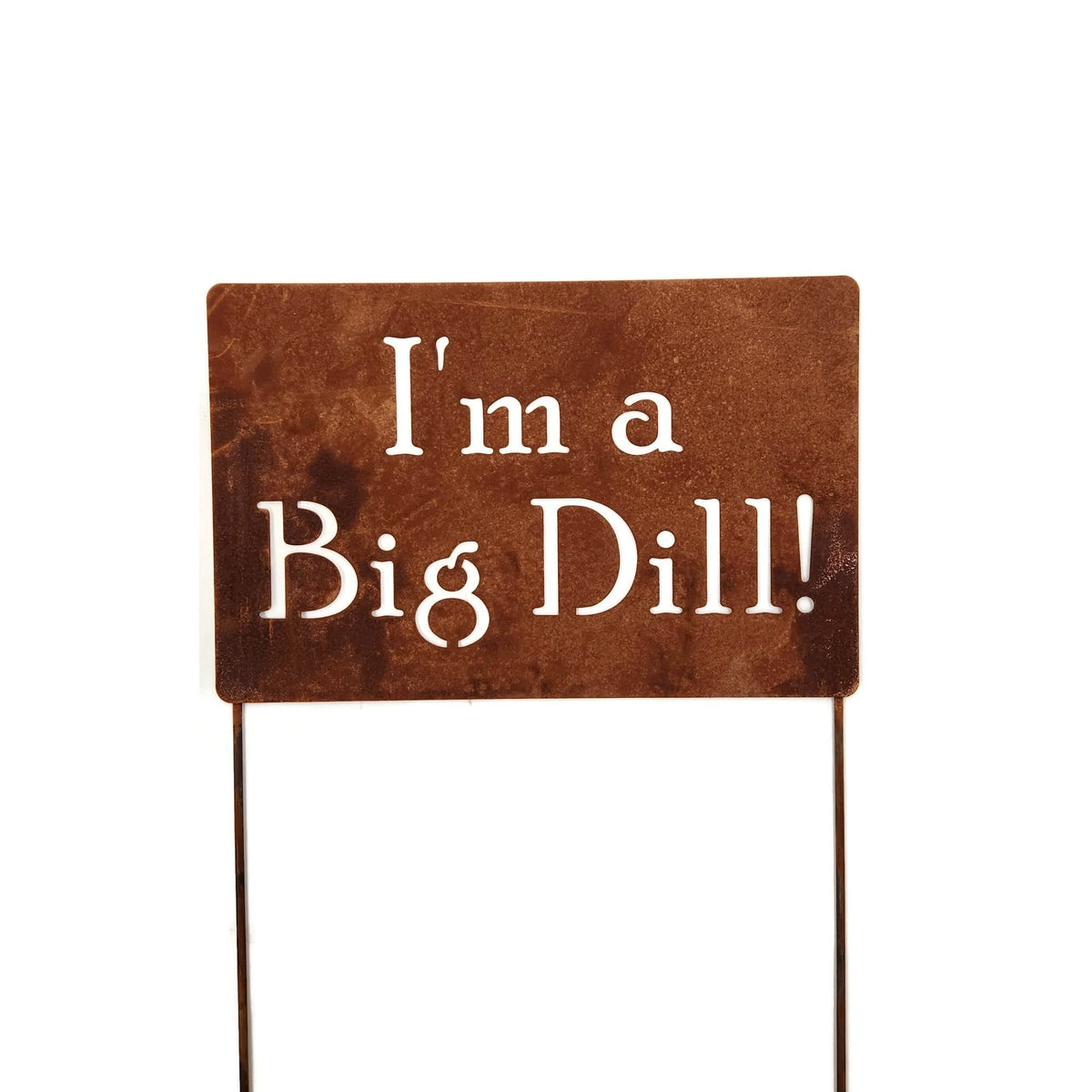 Funny Garden Stake 20 to 33 Inches Tall (The Orchard, Large 28" Tall)