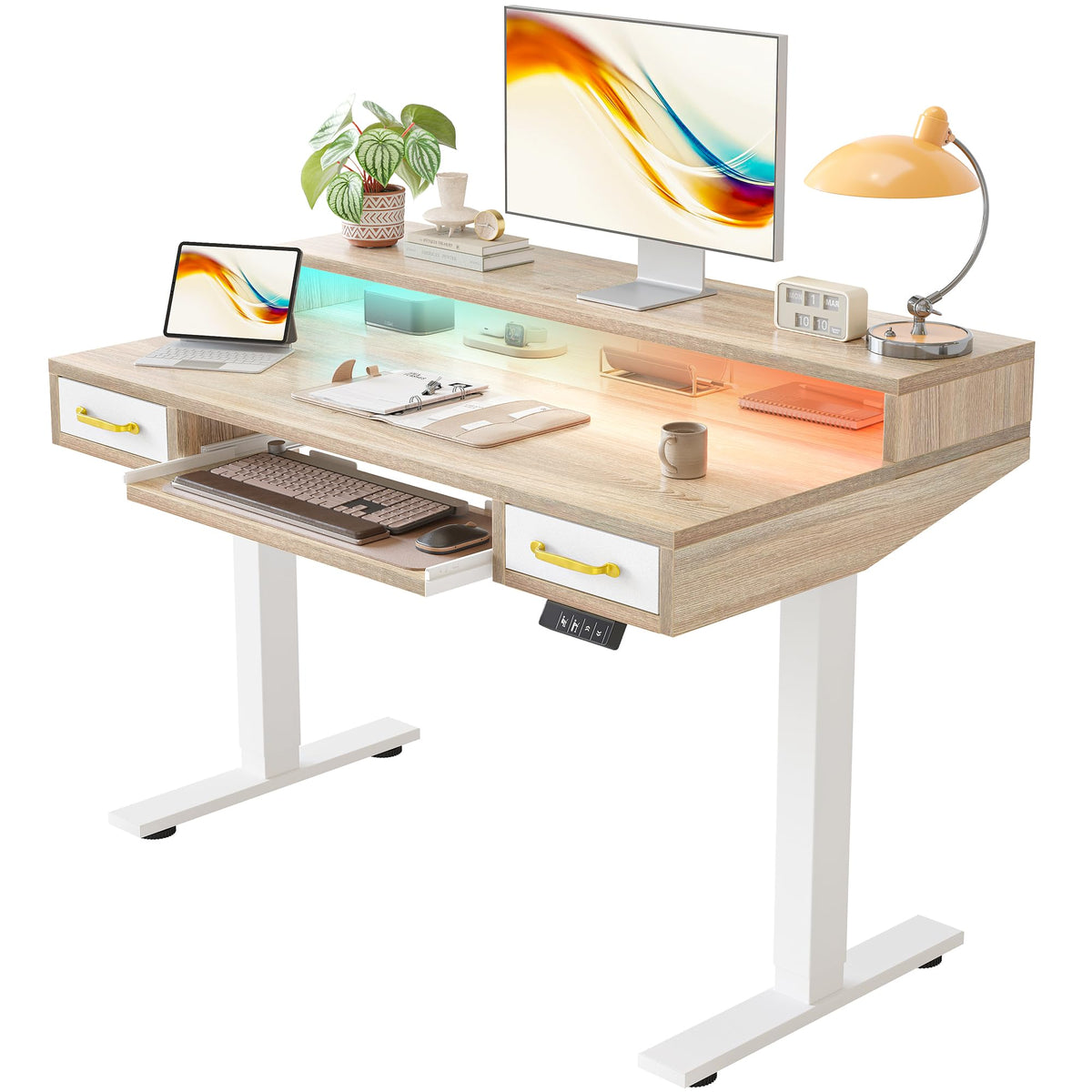 TIQLAB Standing Desk with Two Drawers, Stand Up Standing Desk Adjustable Height, Electric Sit Stand Table with Storage Shelf and Splice Board, with LED Light, 55 * 28 inch, Maple