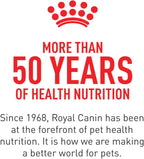 Royal Canin Feline Health Nutrition Indoor Adult Morsels in Gravy Cat Food, 3 oz (Pack of 24)