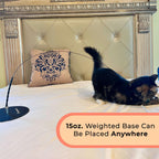 Whiskertons Interactive Bird Simulation Cat Toy Set, Interactive Cat Toys for Indoor Cats, Cat Feather Toy, Self-Holding Suction Cup, 5 Catnip Birds, Feathers, Bells (Catnip Hybrid Bundle)