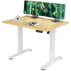 Claiks Electric Height Adjustable Standing Desk, 48x24 Inch, Deep Black