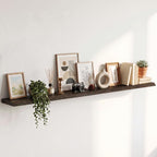 Live Edge Elm Floating Shelves - 24 In Rustic Solid Wood Shelves with Heavy-Duty Invisible Bracket, Wall-Mounted Wooden Shelf for Living Room, Bathroom, Kitchen Storage & Display, Set of 2, Natural