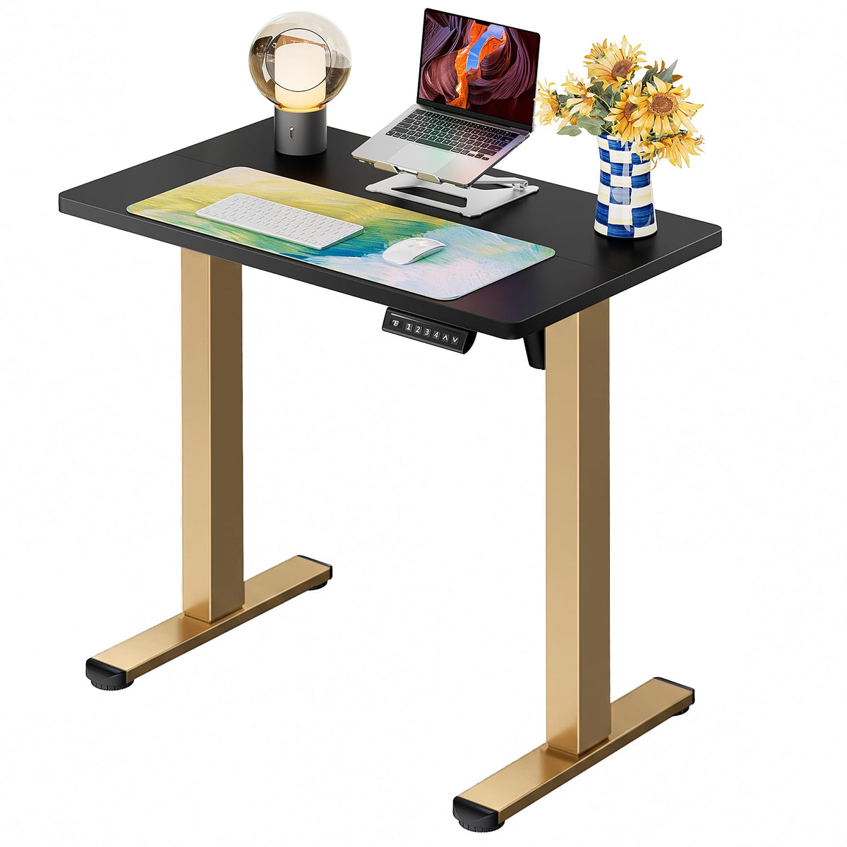 ErGear Height Adjustable Electric Standing Desk, 48 x 24 Inches Sit Stand up Desk, Memory Computer Home Office Desk, Vintage Brown