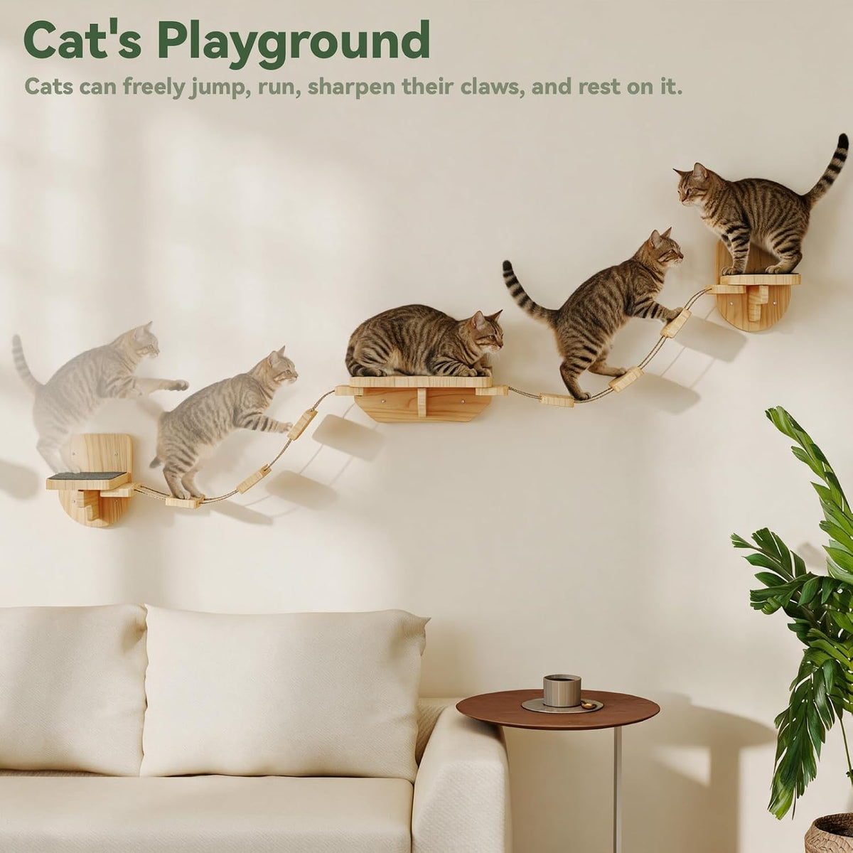 BYBYME 12-PCS Cat Wall Shelves, Pine Climbing System with Space Capsule