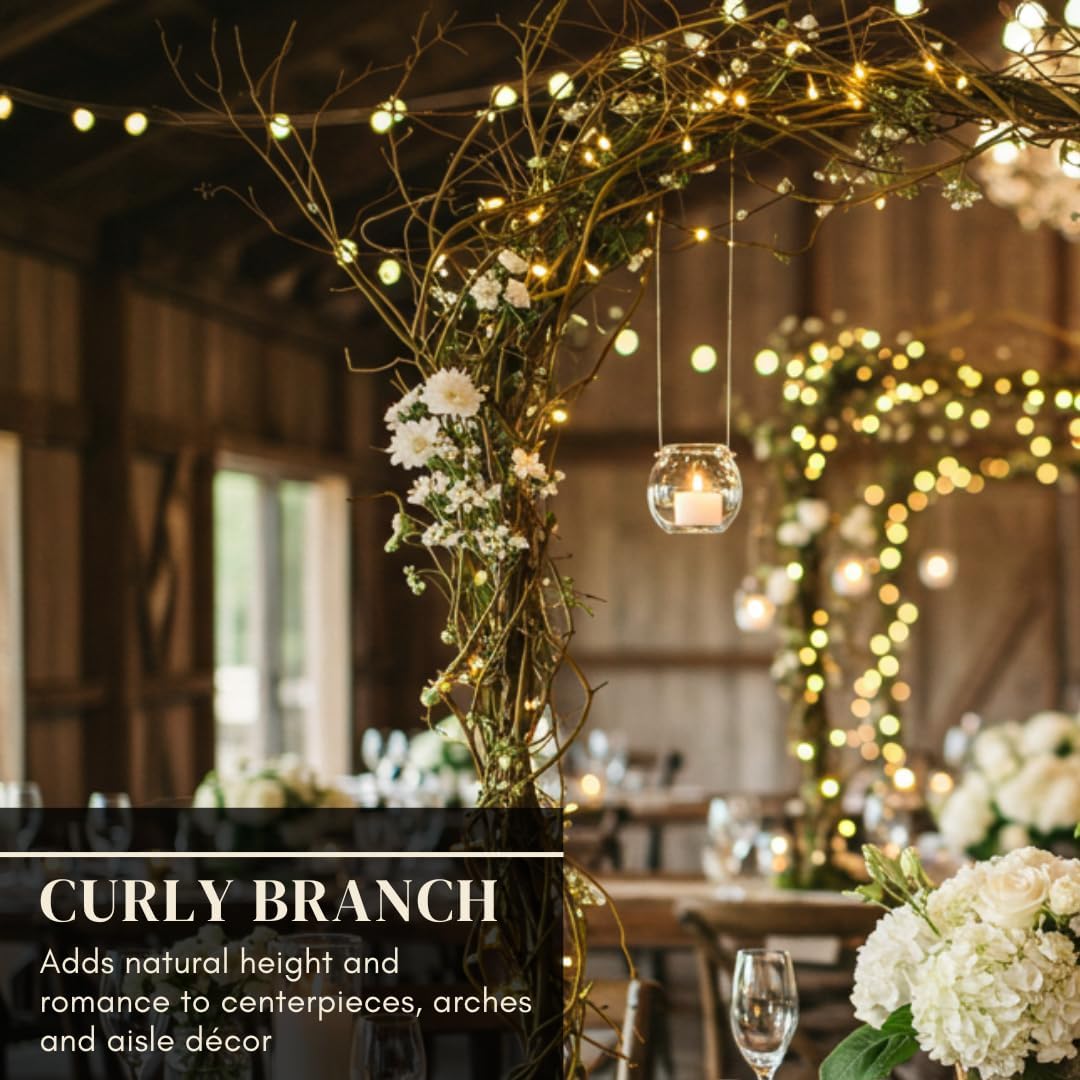 CZ Grain Natural Curly Willow Branches for Decor, 16-24 Inches Long - Wedding Centerpieces, Christmas Decorations, Floral Arrangements, Wreathmaking & Craft Projects (50 Curly Branches)