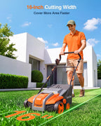 TaskStar Dethatcher and Scarifier, 16 Inch Lawn Dethatcher with Thatch Rake