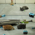 Interactive Cat Toys for Indoor Cats Chasing Running Hunt Instinct Exercise