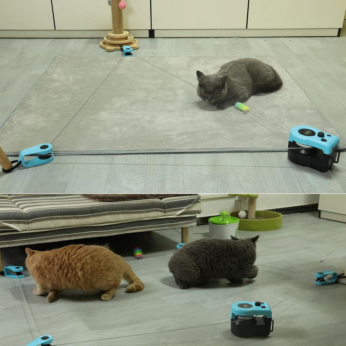 Interactive Cat Toys for Indoor Cats Chasing Running Hunt Instinct Exercise