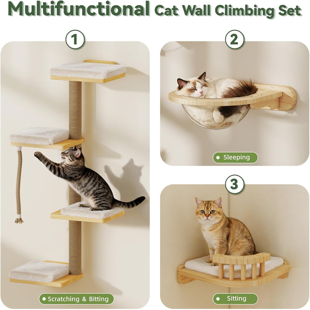BYBYME 12-PCS Cat Wall Shelves, Pine Climbing System with Space Capsule