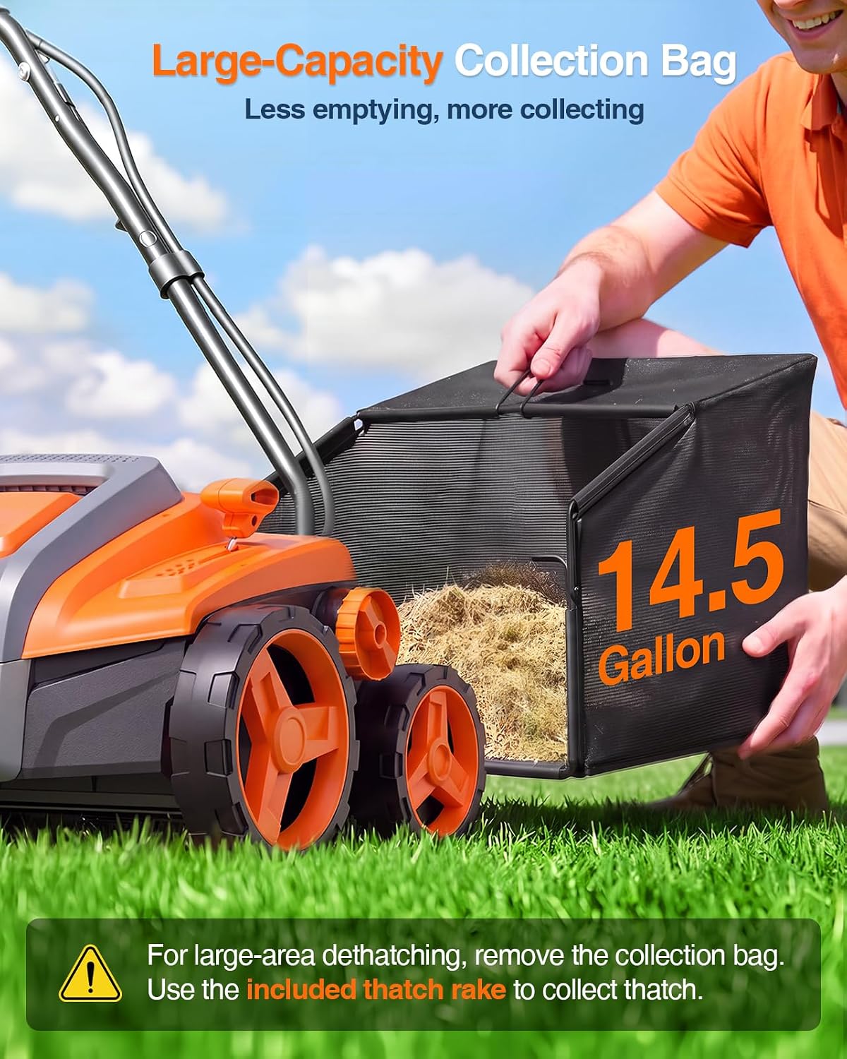 TaskStar Dethatcher and Scarifier, 16 Inch Lawn Dethatcher with Thatch Rake
