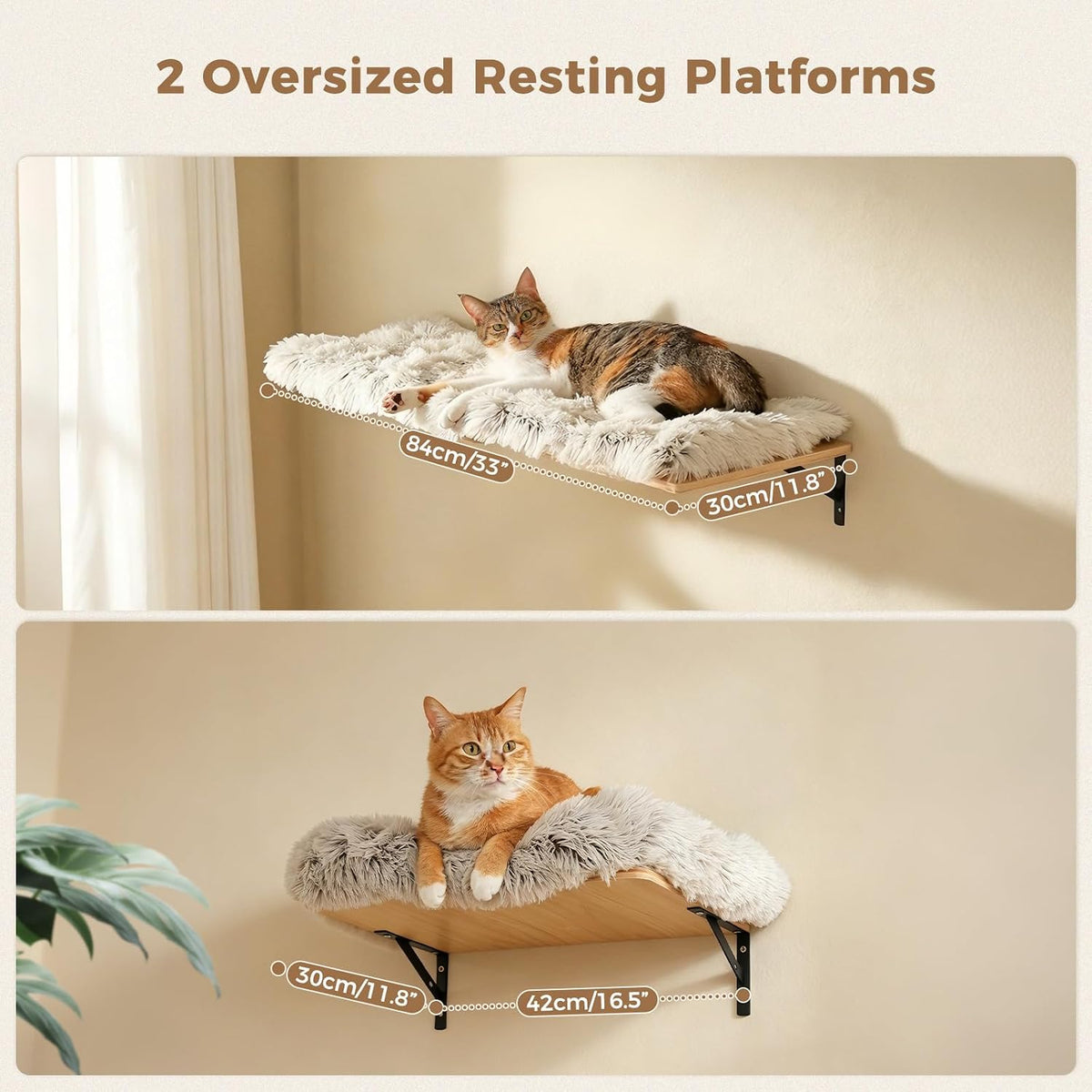 PAWZ Road Cat Wall Shelves, Modern Cat Wall Furniture with Sisal Posts