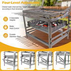 Ergocar Charcoal Grill Rotating 4-Tier Charcoal Tray With Skewers Ideal