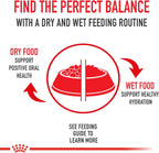 Royal Canin Feline Health Nutrition Indoor Adult Morsels in Gravy Cat Food, 3 oz (Pack of 24)
