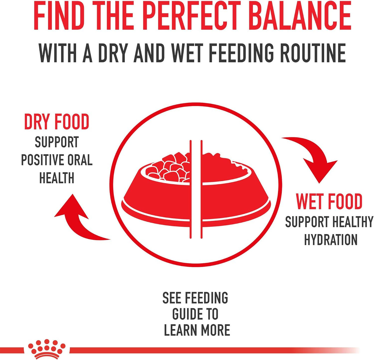 Royal Canin Feline Health Nutrition Indoor Adult Morsels in Gravy Cat Food, 3 oz (Pack of 24)