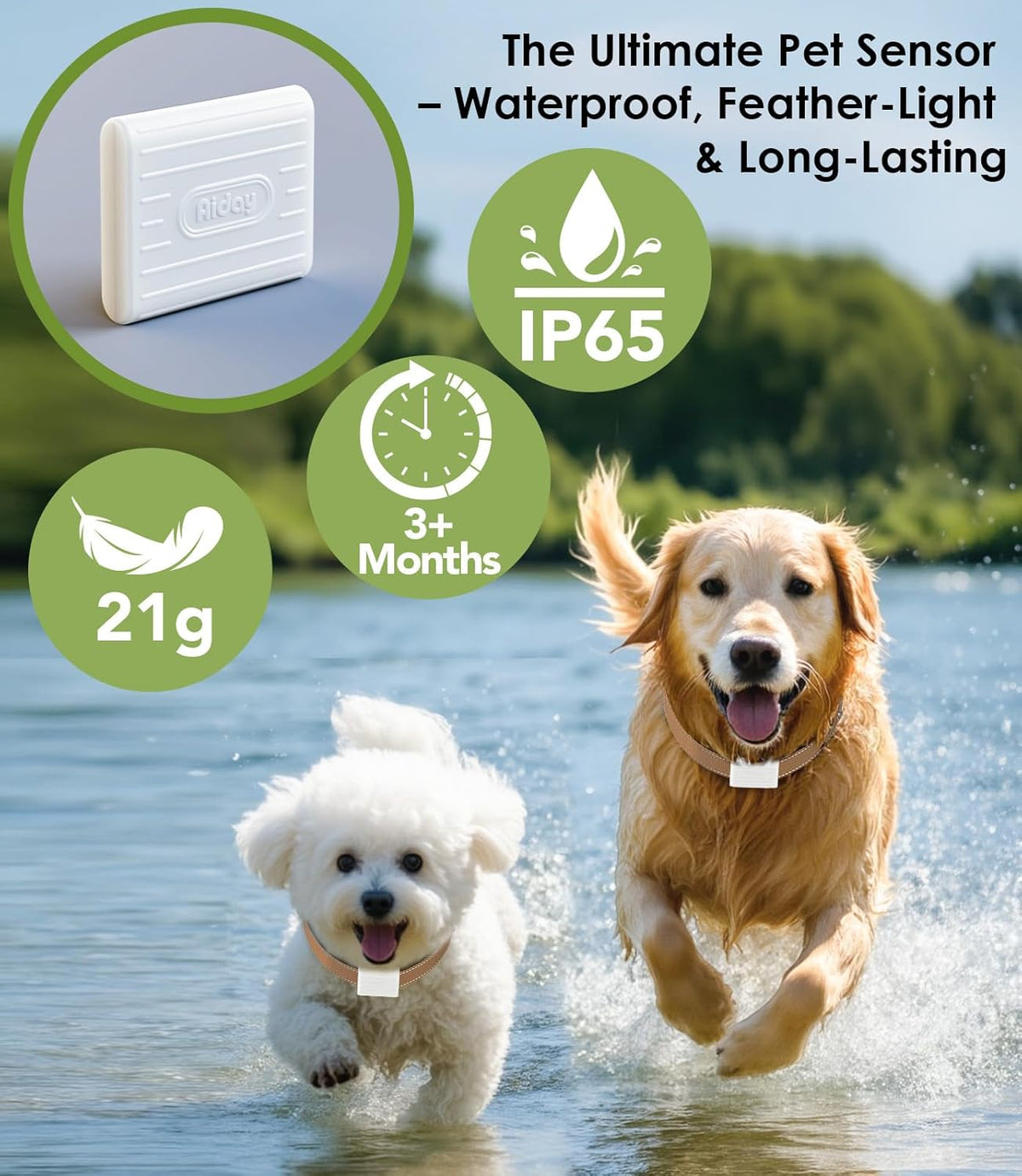 Automatic Dog Door for Wall with Sensor Collars, Large Smart Pet Door for Wall, Custom Scheduling & Anti-Pinch, Fits Large Dogs up to 100 lbs（L）