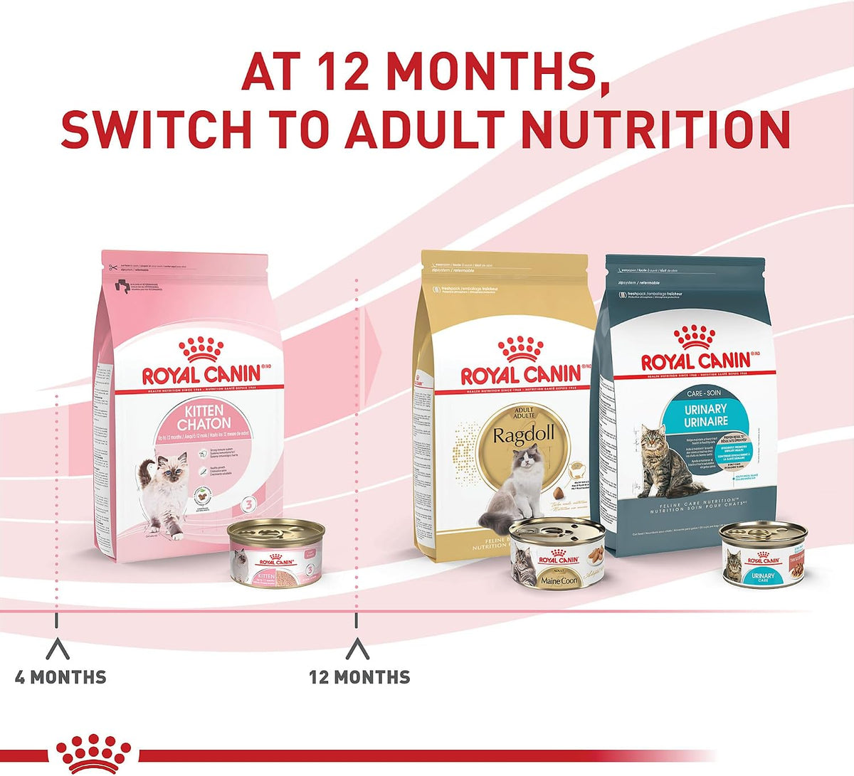 ROYAL CANIN Feline Health Nutrition Kitten Loaf in Sauce Cat Food, 3 oz (Pack of 24)