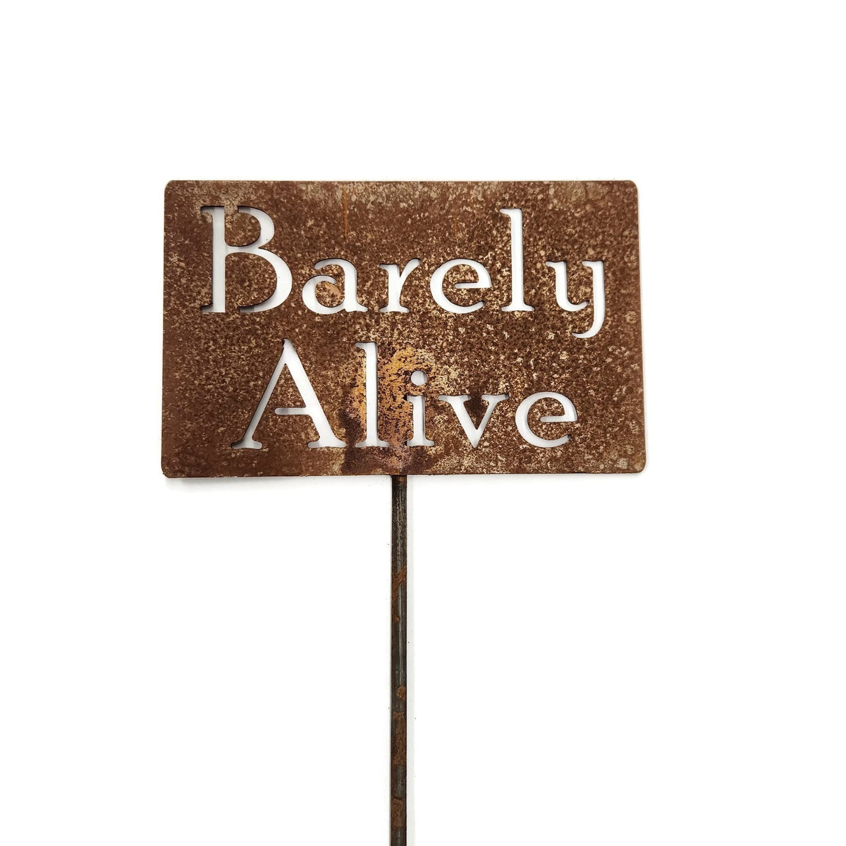 Funny Garden Stake 20 to 33 Inches Tall (The Orchard, Large 28" Tall)