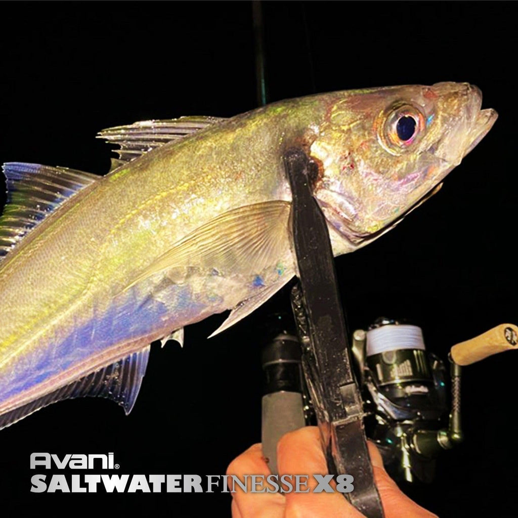VARIVAS Avani Saltwater Finesse PE X8