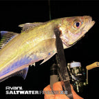 VARIVAS Avani Saltwater Finesse PE X8