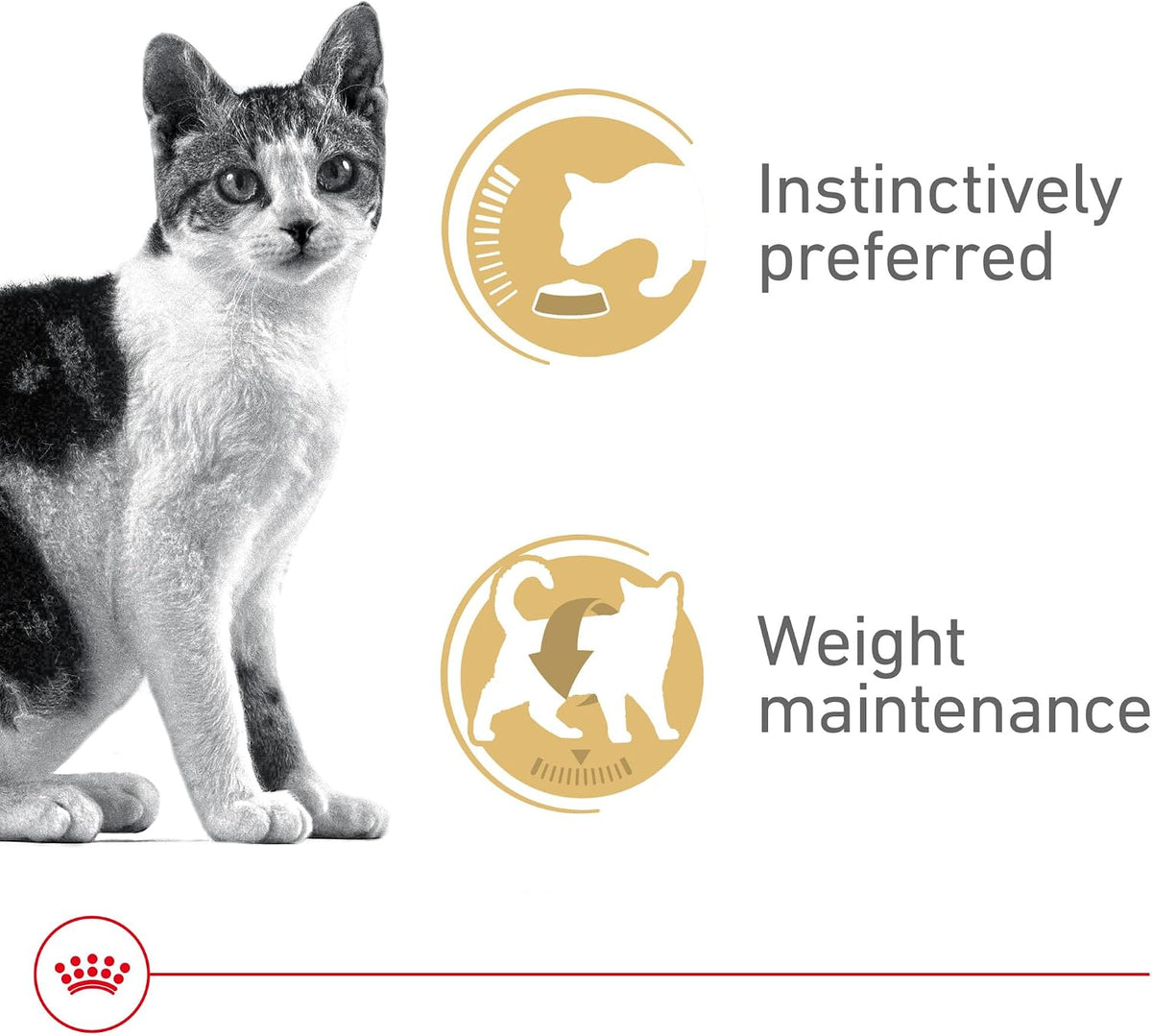 Royal Canin Feline Health Nutrition Adult Instinctive Adult Thin Slices in Gravy Cat Food, 3 oz (Pack of 24)
